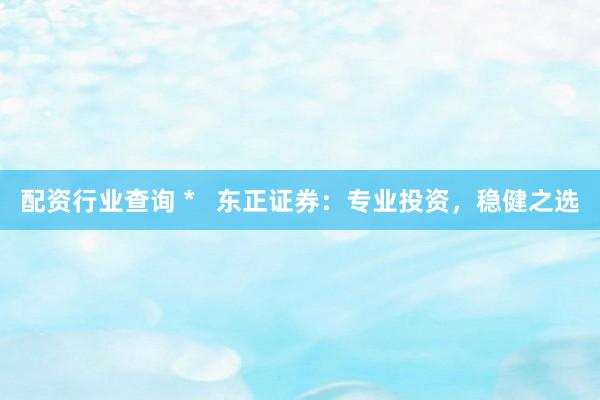 配资行业查询 *   东正证券：专业投资，稳健之选