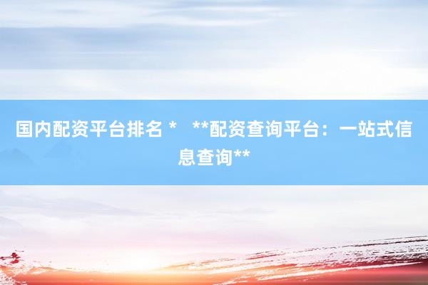国内配资平台排名 *   **配资查询平台：一站式信息查询**