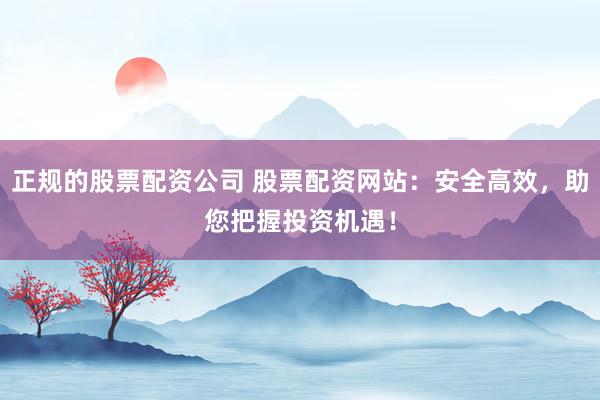 正规的股票配资公司 股票配资网站：安全高效，助您把握投资机遇！
