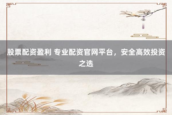 股票配资盈利 专业配资官网平台，安全高效投资之选