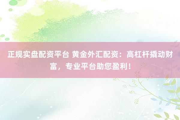 正规实盘配资平台 黄金外汇配资：高杠杆撬动财富，专业平台助您盈利！