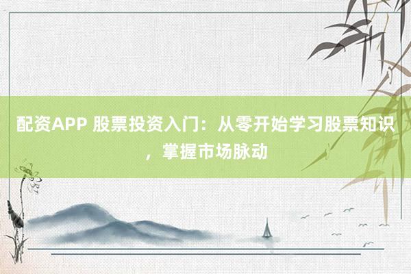 配资APP 股票投资入门：从零开始学习股票知识，掌握市场脉动