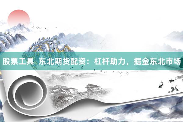 股票工具  东北期货配资：杠杆助力，掘金东北市场