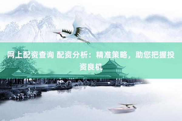 网上配资查询 配资分析：精准策略，助您把握投资良机