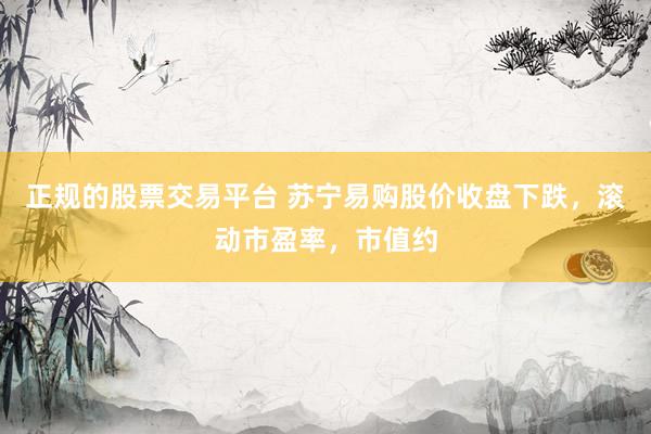 正规的股票交易平台 苏宁易购股价收盘下跌，滚动市盈率，市值约