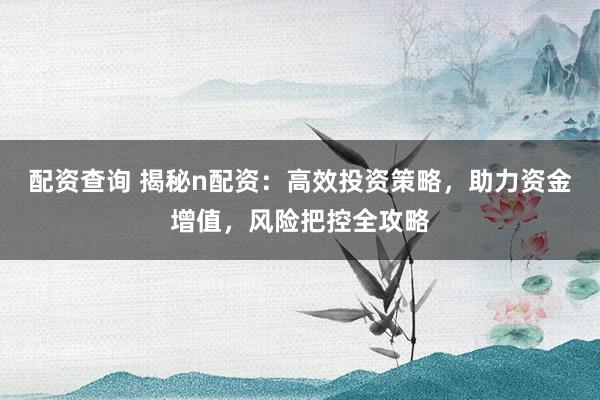 配资查询 揭秘n配资：高效投资策略，助力资金增值，风险把控全攻略