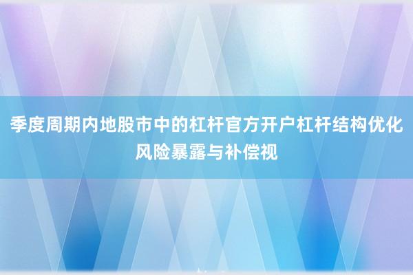 季度周期内地股市中的杠杆官方开户杠杆结构优化风险暴露与补偿视