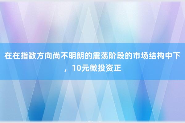在在指数方向尚不明朗的震荡阶段的市场结构中下,10元微投资正