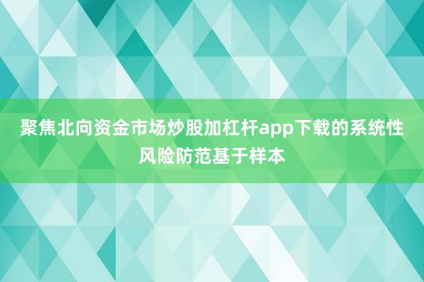 聚焦北向资金市场炒股加杠杆app下载的系统性风险防范基于样本