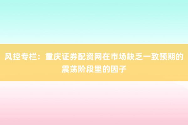 风控专栏：重庆证券配资网在市场缺乏一致预期的震荡阶段里的因子