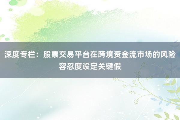 深度专栏：股票交易平台在跨境资金流市场的风险容忍度设定关键假